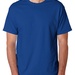 Hanes Heavyweight T-shirts