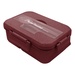 Personalized Harvest Bento Box