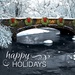 Holiday Thaw Holiday Cards