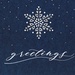 Starry Indigo Holiday Cards