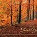 Woodland Gratitude Thanksgiving Cards