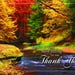 Splashes Of Color Thanksgiving Cards