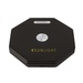 Rechargeable LED Collapsible Lantern