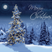 Simply Stunning Christmas Cards