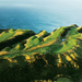 Golf Wall Calendar- 2027