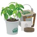 Mini Pail Blossom Kit