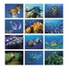 Ocean Glory Wall Calendar - 2027