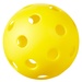 Indoor Pickleball Ball