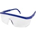 Integra Safety Glasses