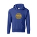 Hanes Youth EcoSmart Pullover Hooded Sweatshirt - Screen Print