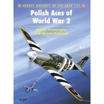 Polish Aces of World War 2