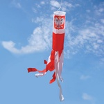 Windsock - Polish White Eagle, 60 inches Long