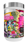 Glaxon Wonder Collagen Raspberry Rose - 21 Servings