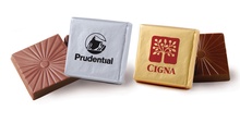 Belgian Chocolate Squares