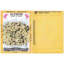 Alyssum Flower Seed Packs