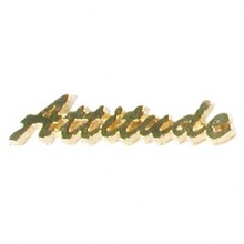 Attitude Lapel Pin