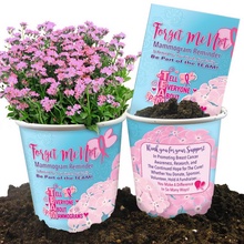 Breast Cancer Awareness Reminder Planter Set