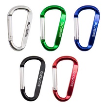 Carabiner Clip Keychain