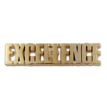 Excellence Lapel Pins