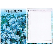 Forget Me Not Seed Packs