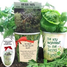 Key Ingredient Herb Planter Set