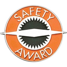 Safety Award Pin