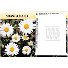 Shasta Daisy Flower Seed Packs