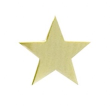Star Lapel Pins