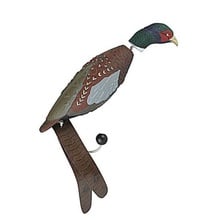 Avery, EZ Bird Pheasant