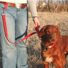 Belt Loop Lead Set
