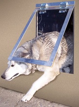Big Heavy Duty Dog Door, X-Large