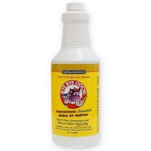 Bye Bye Odor, Concentrate, Scented, 32 oz