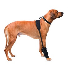 Caldera, Carpal Pet Therapy Wrap, Carpel/Elbow with Therapy Gel, Large