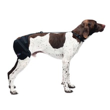 Caldera, Hip Pet Therapy Wrap with Therapy Gel, Medium