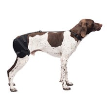 Caldera, Hip Pet Therapy Wrap with Therapy Gel, Medium