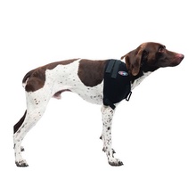 Caldera, Shoulder Pet Therapy Wrap with Therapy Gel, Medium