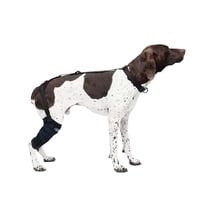 Caldera, Tall Stifle Pet Therapy Wrap with Therapy Gel, Medium