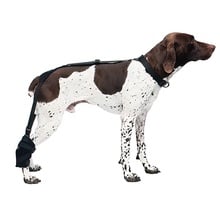 Caldera, Tarsal Pet Therapy Wrap with Therapy Gel, Medium