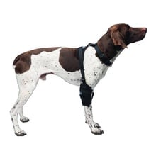 Caldera, Universal Pet Therapy Wrap, Carpel/Elbow with Therapy Gel, Medium
