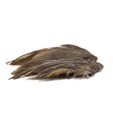 Wild Chukar Wings