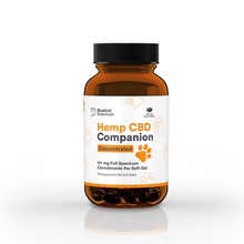 Concentrated Companion CBD Capsules for Pets