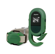 Dogtra, Cue, Green