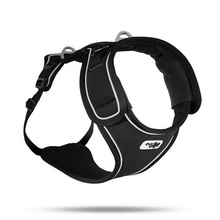 Curli, Belka Harness, Black
