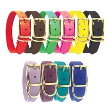 Custom Dura-Flex Dog Collar