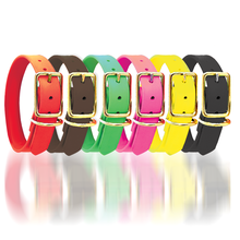 Custom Dura-Flex Dog Collar