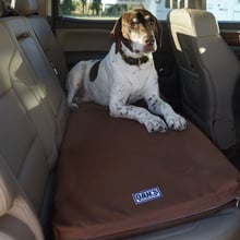 Wet best sale mutt mats