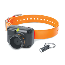 Dogtra, STB Beeper Collar