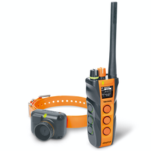 Dogtra, T&B Dual, Training and Beeper Combo