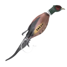 Dokken Dead Fowl Trainer, Pheasant