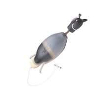 Dokken Dead Fowl Trainer, Gambel's Quail